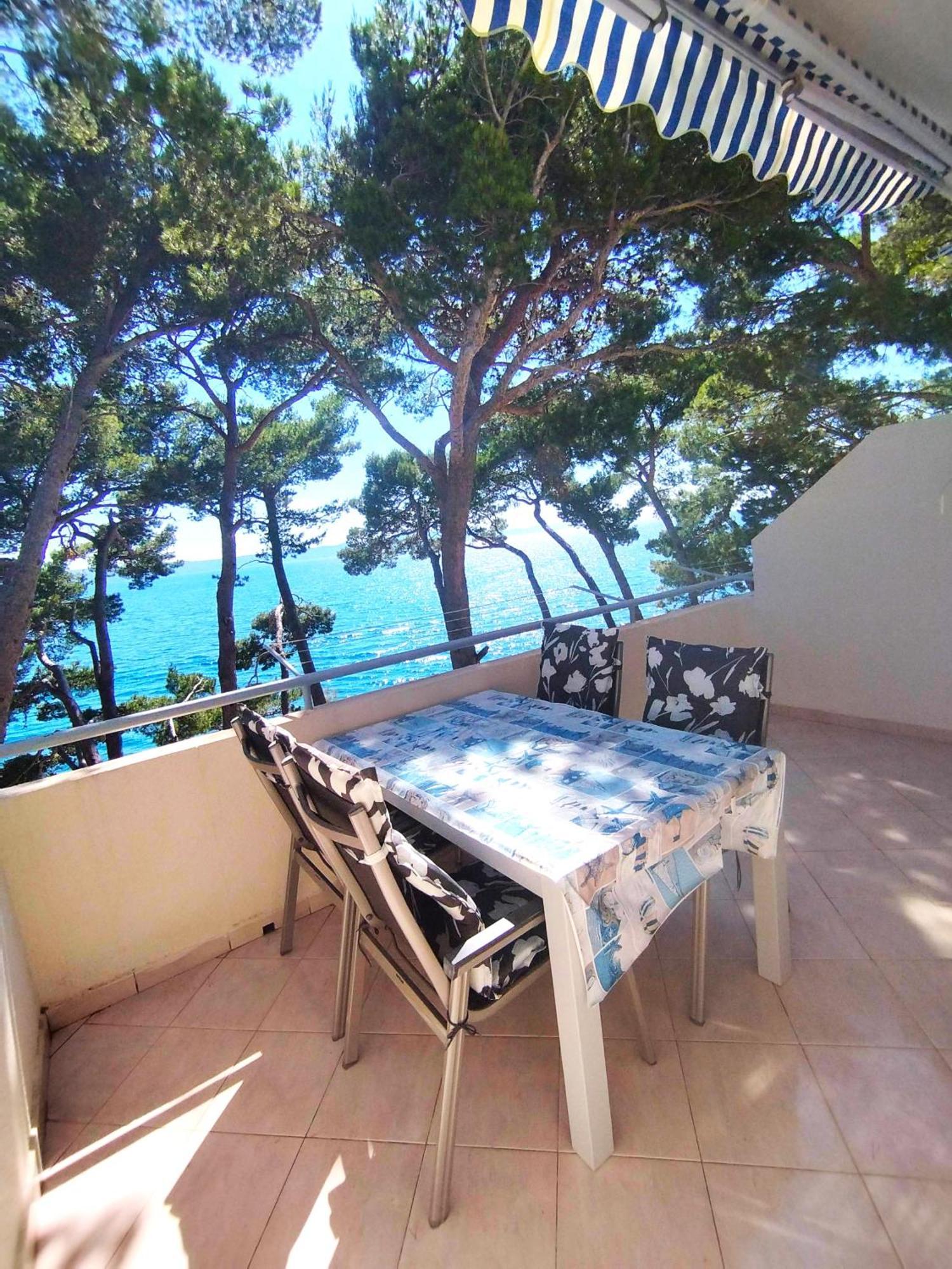 Apartment Jelas Živogošće 외부 사진